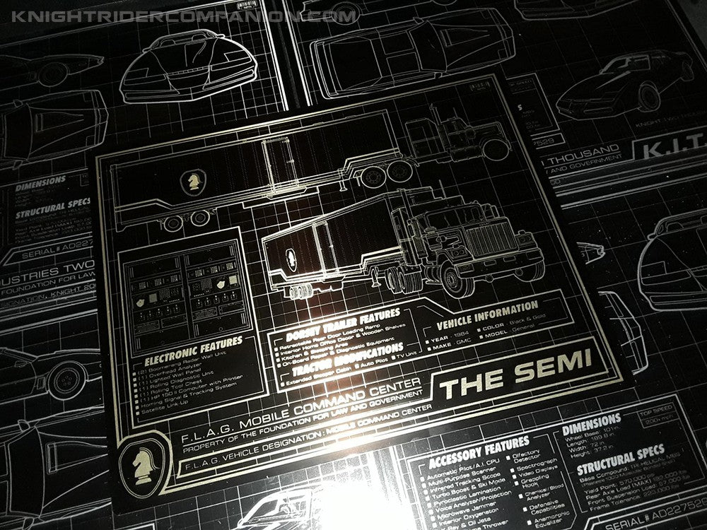 the-semi-schematic-8-x-10-le-gold-metal-plate